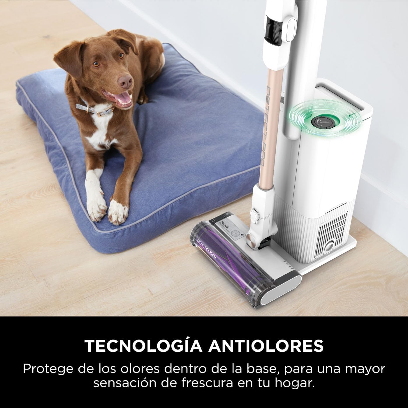 Shark Detect Pro Aspiradora sin Cable, 60 min autonomía, Sistema de Vaciado automático (2 litros de Capacidad), Ligera y Flexible, Anti Hair Wrap, Boquilla Estrecha, Blanco/Bronce, IW3611EUN