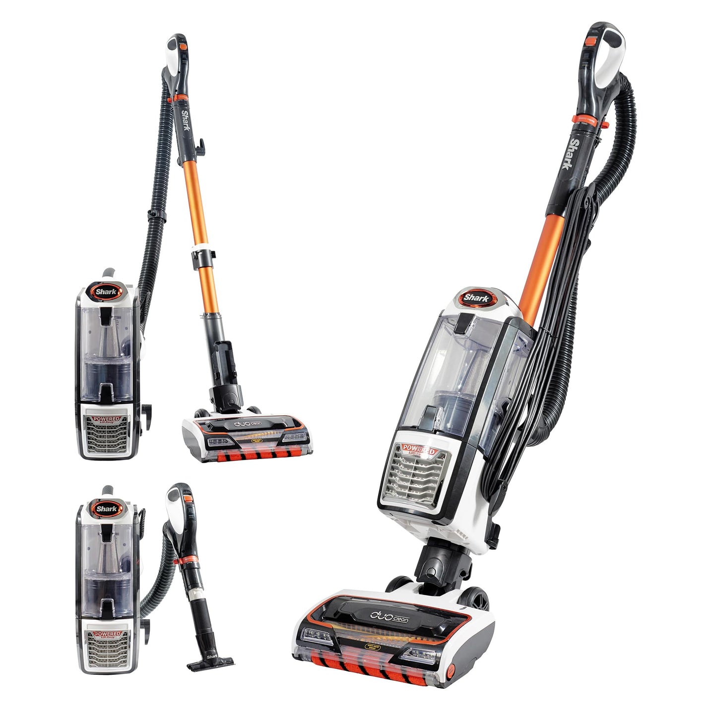 Shark Aspiradora con cable de 0,83 l, Anti Hair Wrap, DuoClean, Powered Lift Away, boquilla para tapicería, boquilla estrecha, cepillo para polvo, cable 8 metros, gris oscuro/naranja, NZ801EU